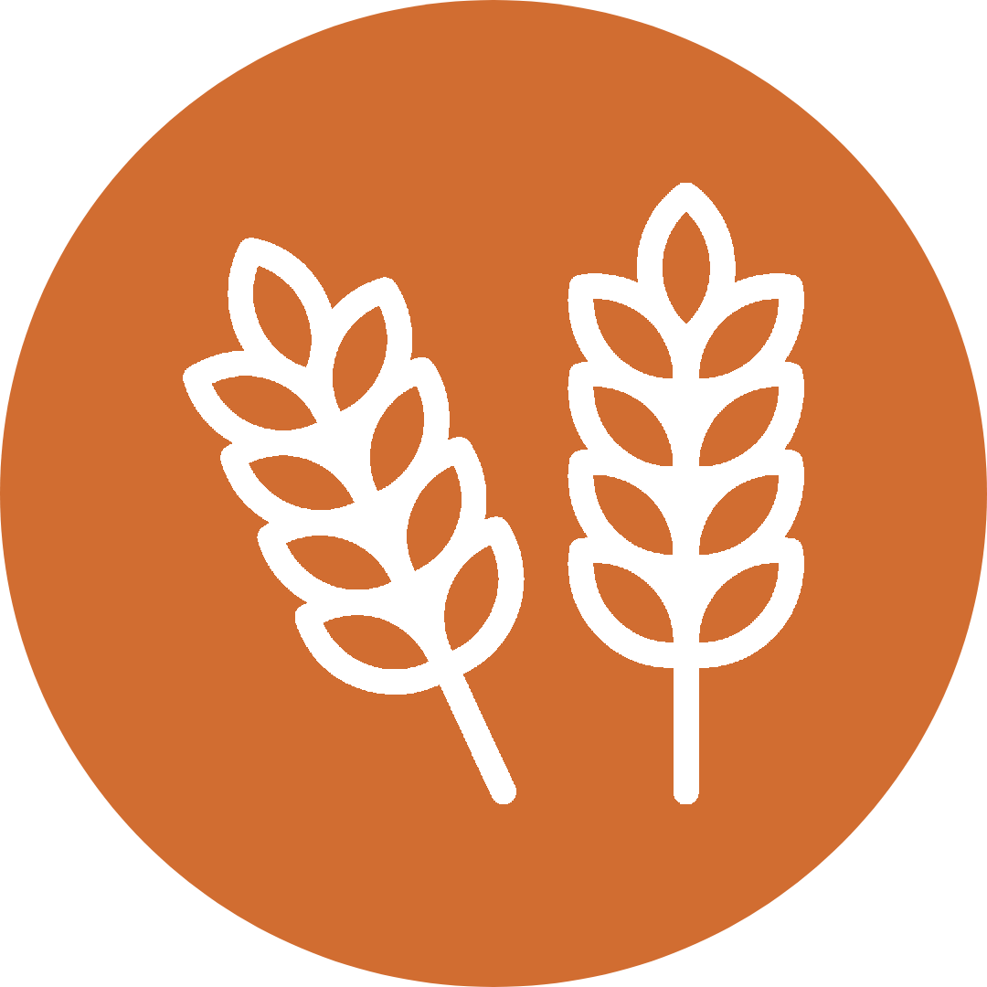 Gluten